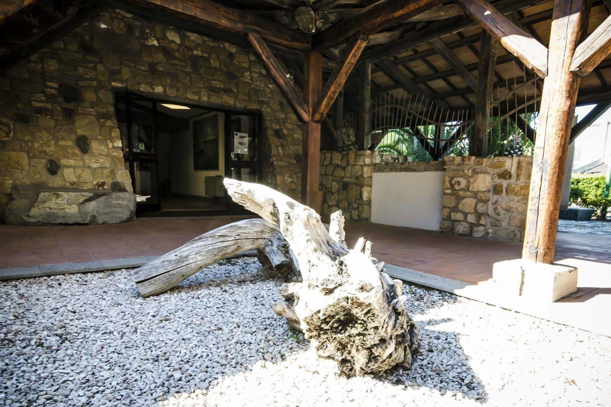 Torre Del Sole Otel Tarquinia Dış mekan fotoğraf